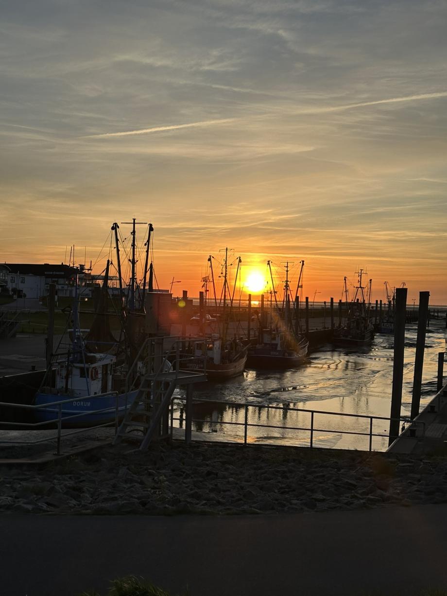 Sonnuntergang am Hafen
